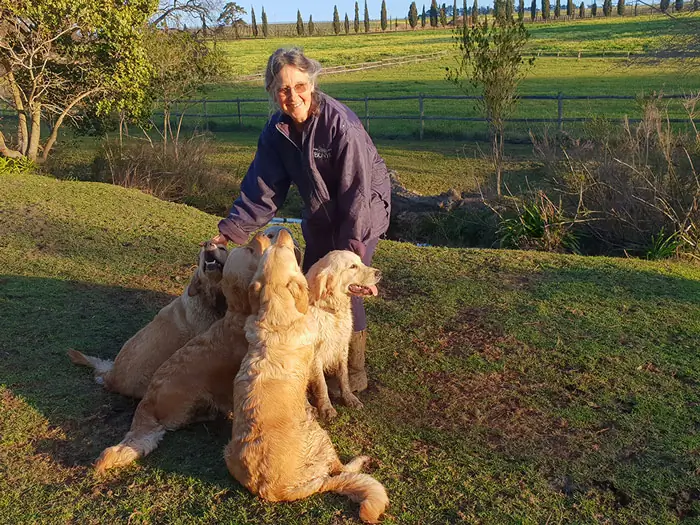 Bonyl Golden Retrievers and Liane